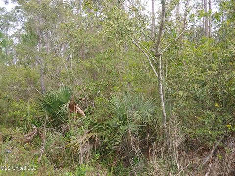 lot4 Sage St, Bay Saint Louis, MS 39520
