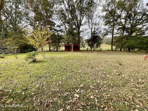 489 Nub Mcnair Rd, Magee, MS 39111 photo 5