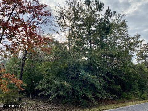 310 Lake David Dr, Picayune, MS 39466