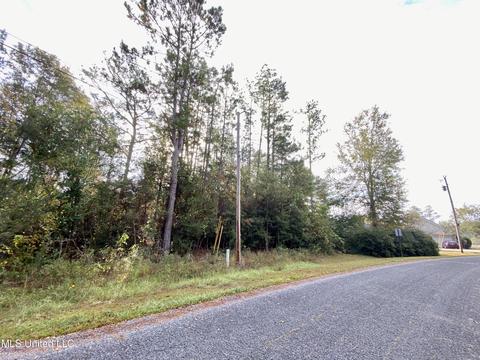 Pine Ridge Drive, Picayune, MS 39466 photo 2