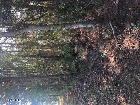 lot680 Sycamore St, Ocean Springs, MS 39564