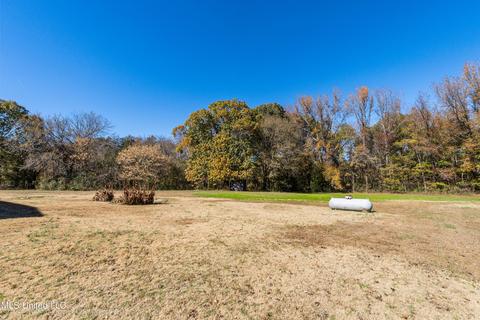 125 Moore Loop, Byhalia, MS 38611 photo 29