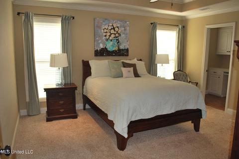 534 Springhill Xing, Brandon, MS 39047 photo 22