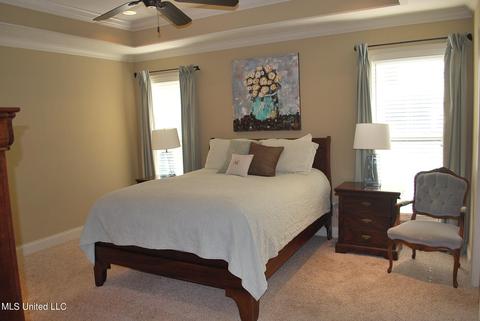 534 Springhill Xing, Brandon, MS 39047 photo 23