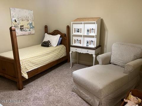 534 Springhill Xing, Brandon, MS 39047 photo 30
