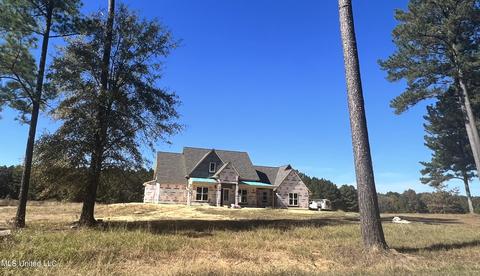 519 Clark Stables Rd, Brandon, MS 39047 photo 8