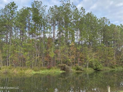 Rock Ranch Road, Picayune, MS 39466 photo 4