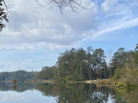 Rock Ranch Road, Picayune, MS 39466 photo 2