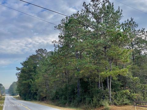 Rock Ranch Road, Picayune, MS 39466 photo 3