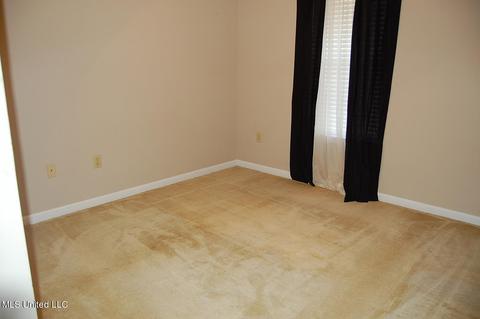 7236 Estes Cv, Walls, MS 38680 photo 14