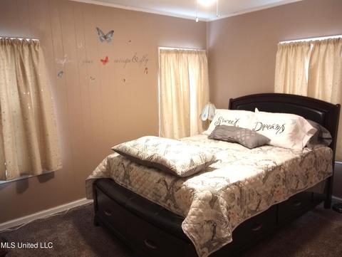 5444 Dubbs Rd, Dundee, MS 38626 photo 17