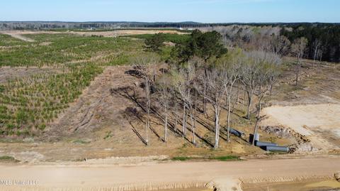 489 Stump Ridge Rd, Brandon, MS 39047 photo 1