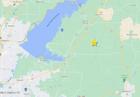 489 Stump Ridge Rd, Brandon, MS 39047 photo 6
