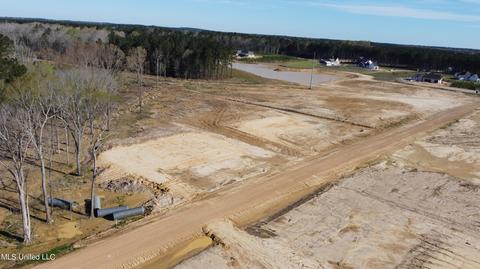 489 Stump Ridge Rd, Brandon, MS 39047 photo 2