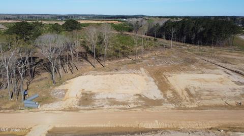 489 Stump Ridge Rd, Brandon, MS 39047 photo 3