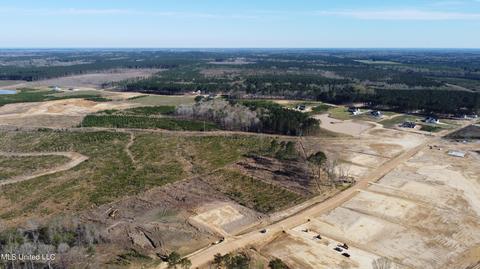 489 Stump Ridge Rd, Brandon, MS 39047 photo 5
