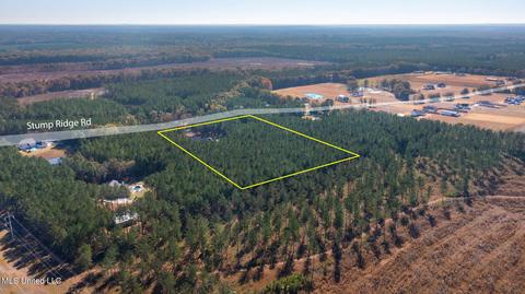 189 Stump Ridge Rd, Brandon, MS 39047 photo 87