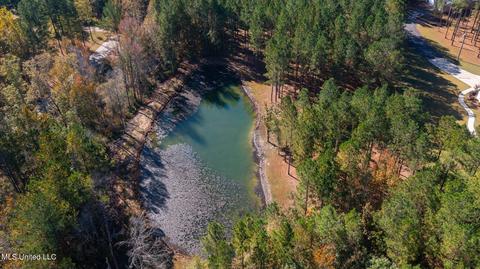 189 Stump Ridge Rd, Brandon, MS 39047 photo 79