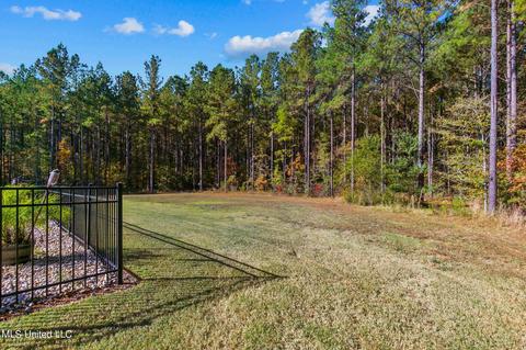 189 Stump Ridge Rd, Brandon, MS 39047 photo 66
