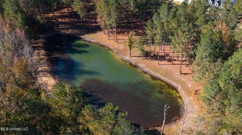 189 Stump Ridge Rd, Brandon, MS 39047 photo 80