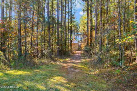 189 Stump Ridge Rd, Brandon, MS 39047 photo 67