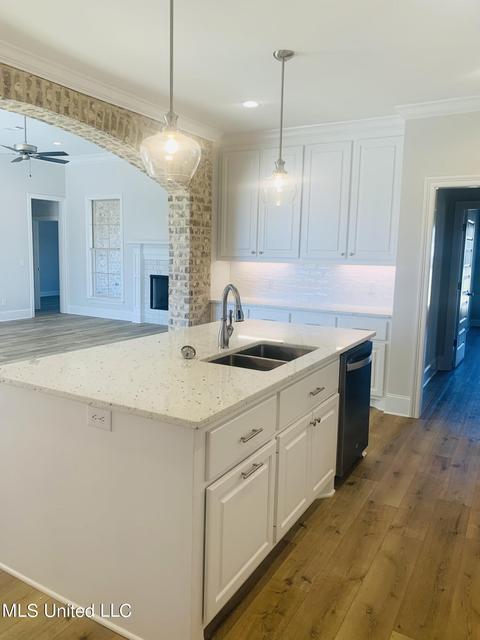 494 Crossvine Pl, Madison, MS 39110 photo 10