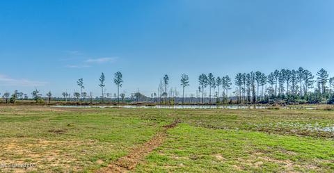 348 Stump Ridge Rd, Brandon, MS 39047 photo 8