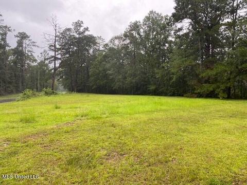 3 Oscar Smith Road, Carriere, MS 39426
