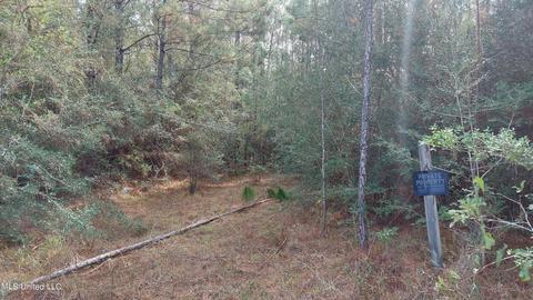 W Mchenry Road, Mchenry, MS 39561