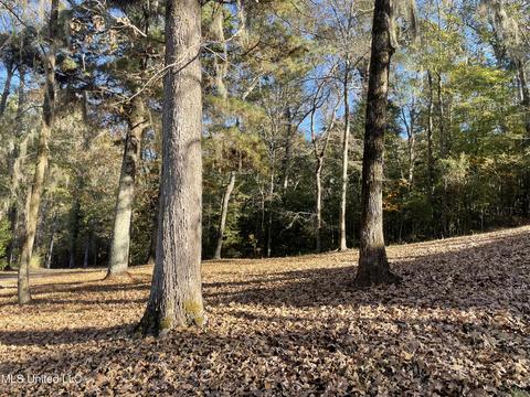 2034 Cleary Rd, Florence, MS 39073 photo 32