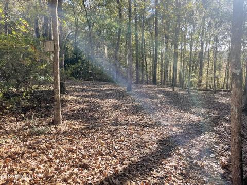 2034 Cleary Rd, Florence, MS 39073 photo 36
