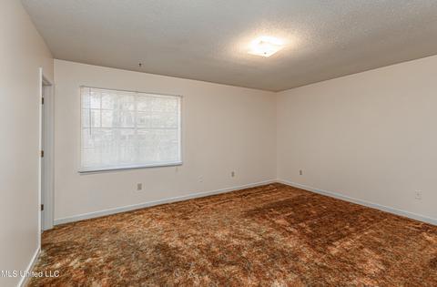 220 E Lake Dr, Brandon, MS 39047 photo 33
