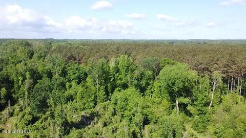 Abernathy Road, Flora, MS 39071 photo 6