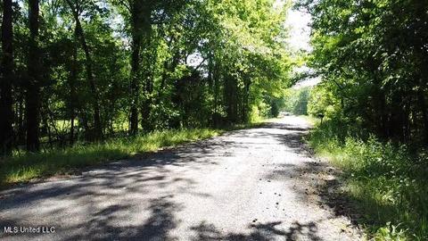 Abernathy Road, Flora, MS 39071 photo 2