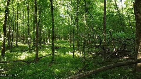 Abernathy Road, Flora, MS 39071 photo 4