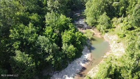 Abernathy Road, Flora, MS 39071 photo 1