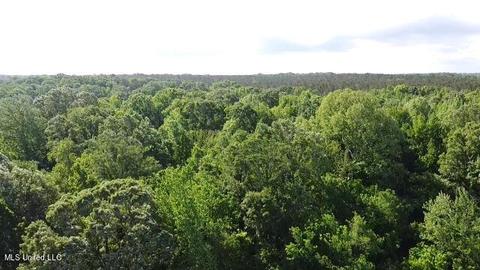 Abernathy Road, Flora, MS 39071 photo 3