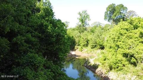 Abernathy Road, Flora, MS 39071 photo 5