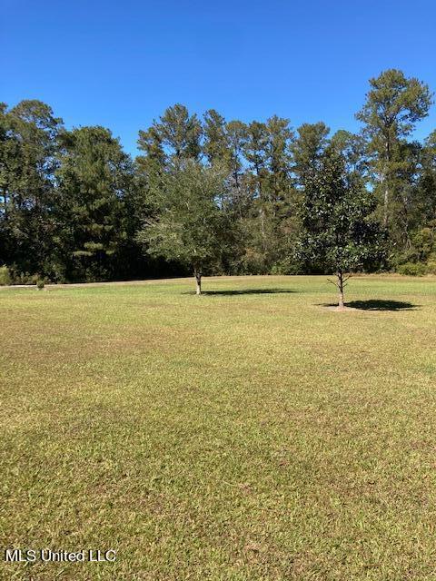 2300 Bertis Goff Rd, Moss Point, MS 39562 photo 12
