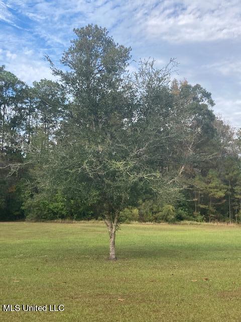 2300 Bertis Goff Rd, Moss Point, MS 39562 photo 11