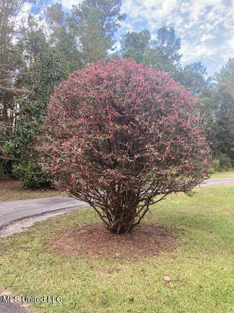 2300 Bertis Goff Rd, Moss Point, MS 39562 photo 9