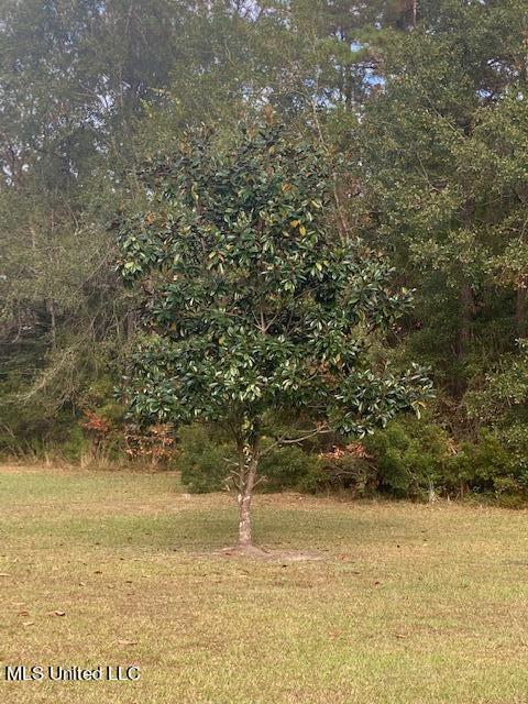 2300 Bertis Goff Rd, Moss Point, MS 39562 photo 10