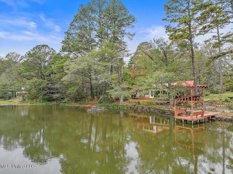 140 1st St, Brandon, MS 39042 photo 62