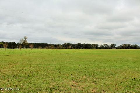 4220 Ward Pineview Rd, Lucedale, MS 39452 photo 30