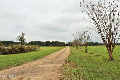 4220 Ward Pineview Rd, Lucedale, MS 39452 photo 29