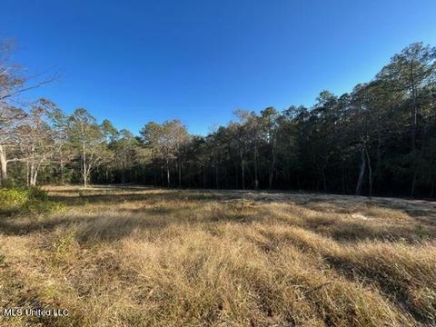 0 W Spring Lake Dr, Vancleave, MS 39565
