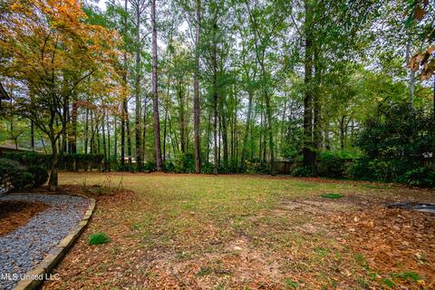 4428 Deer Creek Dr, Jackson, MS 39211 photo 37