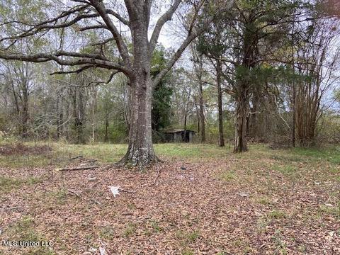 2111 Pleasant Ridge Rd, Chunky, MS 39323 photo 2
