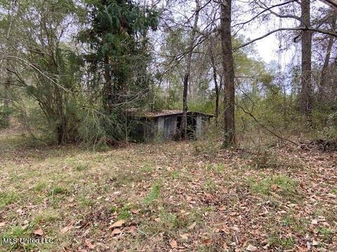 2111 Pleasant Ridge Rd, Chunky, MS 39323 photo 12