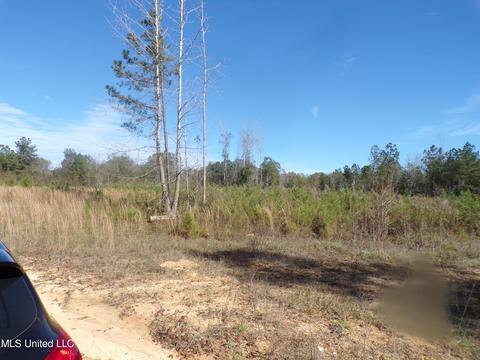 2111 Pleasant Ridge Rd, Chunky, MS 39323 photo 5